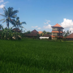 Bali (Conclusion)